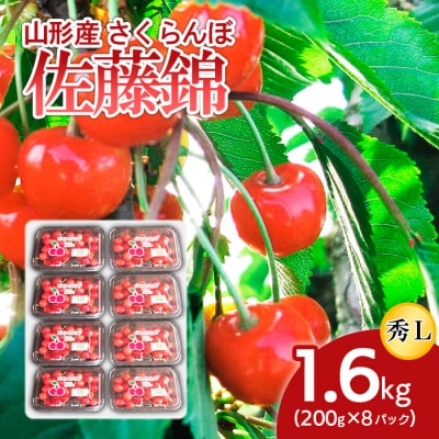 山形産 さくらんぼ 佐藤錦 L 1.6kg(200g×8パック) 【令和7年産】FS24-504
