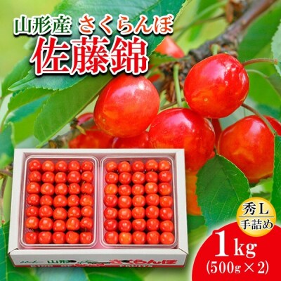 さくらんぼ 佐藤錦 L(500g×2)手詰 【令和7年産】FS20-090