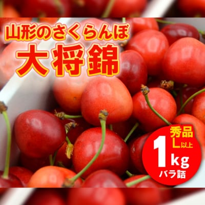 山形のさくらんぼ 大将錦 1kg Lサイズ以上 バラ詰 【令和7年産】FS24-561