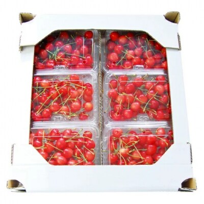 山形のさくらんぼ 紅秀峰 1.2kg(200g×6) Lサイズ以上 【令和7年産】FS24-555