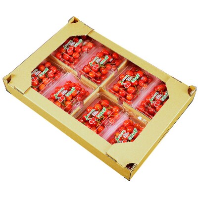 山形のさくらんぼ 紅秀峰 1.6kg(200g×8) Lサイズ以上 【令和7年産】FS24-556