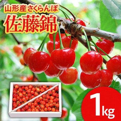 山形のさくらんぼ 佐藤錦 1kg Lサイズ以上 バラ詰 【令和7年産】FS24-549
