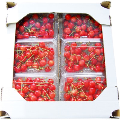 山形のさくらんぼ 佐藤錦 1.2kg(200g×6) Lサイズ以上 【令和7年産】FS24-550