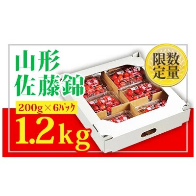 ★山形さくらんぼ佐藤錦☆Lサイズ以上200g×6 【令和7年産】FU22-705
