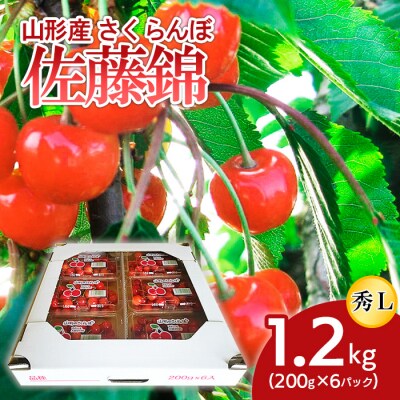 山形産 さくらんぼ 佐藤錦 L 1.2kg(200g×6パック) 【令和7年産】FS24-505