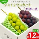 シャインマスカットとピオーネ 約1.2kg(各1房) 秀品 【令和7年産】FS24-526