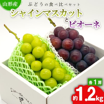 シャインマスカットとピオーネ 約1.2kg(各1房) 秀品 【令和7年産】FS24-526