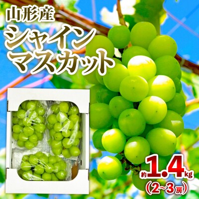 山形産 シャインマスカット 約1.4kg (2～3房) 秀品 【令和7年産】FS24-733