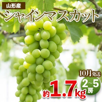 シャインマスカット 秀品 約1.7kg(2～5房程度)【令和7年産】FS23-755
