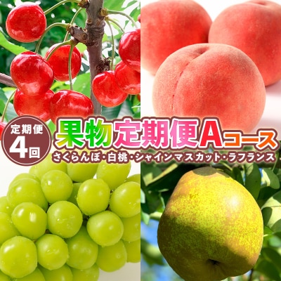 【定期便4回】果物定期便Aコース【令和7年産】FS24-744