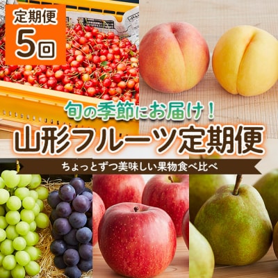 【定期便5回】ちょっとずつ美味しい果物食べ比べ定期便 【令和7年産】FU22-968