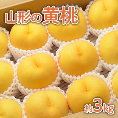 山形の黄桃 約3kg(6～13玉)[柔らかくなる品種・果肉やや硬め] 【令和7年産】FU22-055