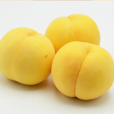 山形の黄桃 約3kg(6～13玉)[柔らかくなる品種・果肉やや硬め] 【令和7年産】FU22-055