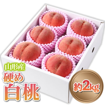 山形産 硬め 「白桃」 秀品 約2kg (5玉～8玉)【令和7年産】 FS24-083