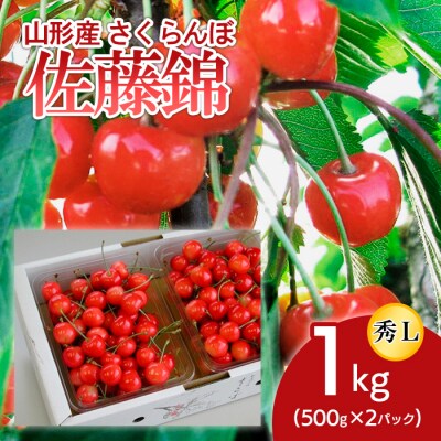 山形産 さくらんぼ 佐藤錦 L 1kg(500g×2パック入) 【令和7年産】FU18-863