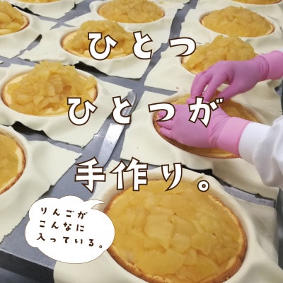 りんごいっぱいアップルパイ 計8個(4個入×2箱) | 神奈川県横須賀