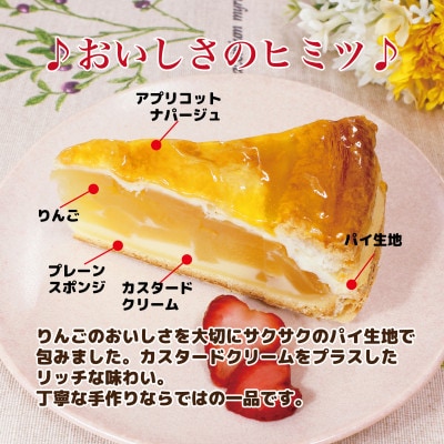 りんごいっぱいアップルパイ 計8個(4個入×2箱) | 神奈川県横須賀
