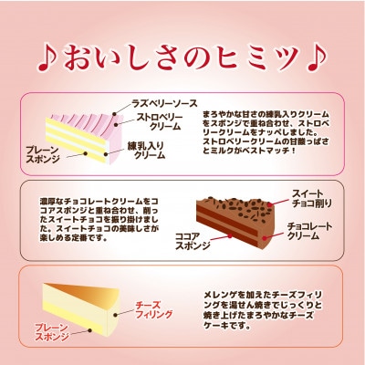 ドルチェケーキ 3種アソート〈チョコ/ベイクドチーズ/ベリー&ミルク〉各1箱(4個入)