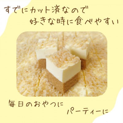 とろっと濃厚、プリンのコクが広がる贅沢ケーキ「とろっと!プリンムース」