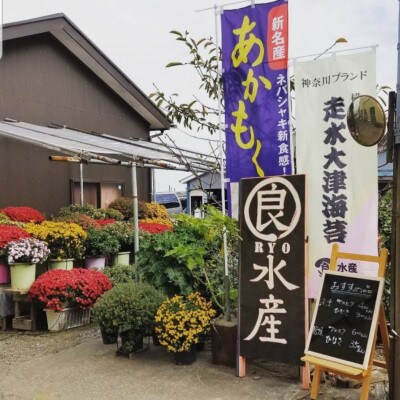 焼海苔【四切】封筒型 ギフト『YURI NORI』～ 神奈川 ブランド 走水のり ～