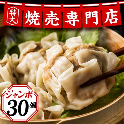 専門店の味 ジャンボ生焼売30個　中華 惣菜