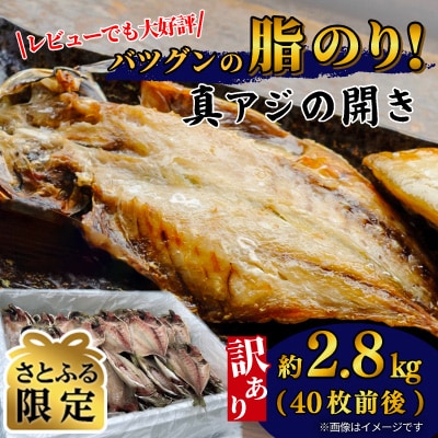 【さとふる限定】訳あり 真アジの開き干物 約2.8kg(40枚前後)冷凍