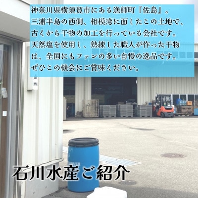 横須賀　漁師町佐島　キンメ鯛も入った干物詰め合わせ5種 4人前セット 【石川水産】