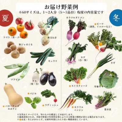 【産地直送】すずなり採れたて野菜BOX(お試し) 60サイズ
