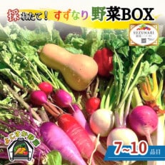 【産地直送】すずなり採れたて野菜BOX(冬野菜セット)80サイズ 【2023年12月～2月発送】