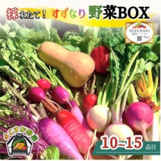 【産地直送】すずなり採れたて野菜BOX(冬野菜セット)100サイズ 【2023年12月～2月発送】