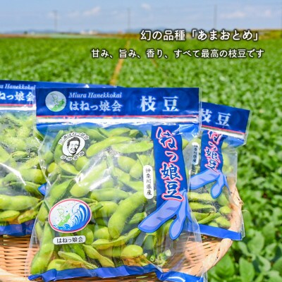 【先行受付│2024年6月中旬より順次出荷予定】はねっ娘枝豆 1.5kg(300g×5袋)