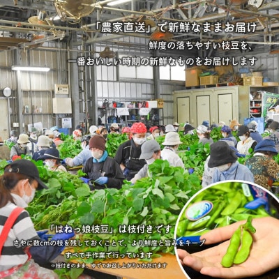 【先行受付│2024年6月中旬より順次出荷予定】はねっ娘枝豆 1.5kg(300g×5袋)