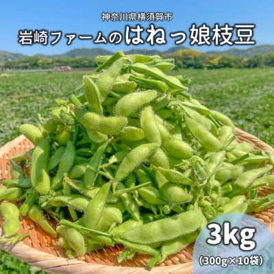 【先行受付│2024年6月中旬より順次出荷予定】はねっ娘枝豆 3kg(300g×10袋)