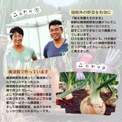 よこすか海軍カレー10箱セット