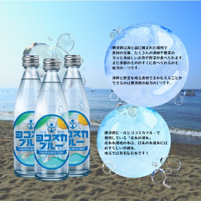 【毎月定期便】ヨコスカブルー10本セット (340ml瓶×10本)天然サイダー全6回
