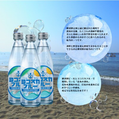 【毎月定期便】ヨコスカブルー10本セット (340ml瓶×10本)天然サイダー全12回
