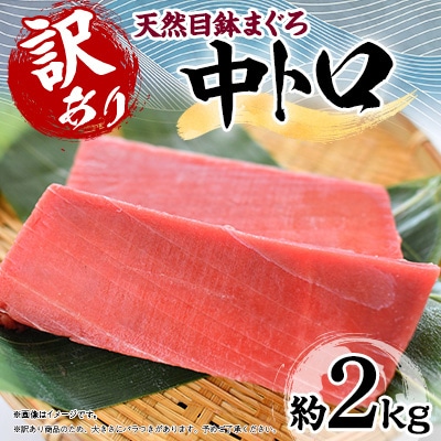 【訳あり】天然 目鉢(メバチ) まぐろ 　中トロ(約2kg) 冷凍
