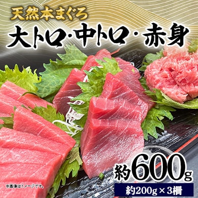 天然 本まぐろ 大トロ・中トロ・赤身(約200g×3柵)約600g 冷凍