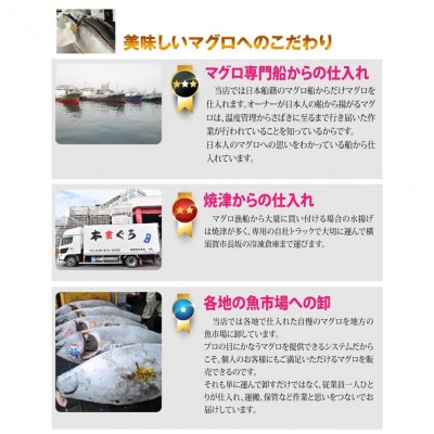 【訳あり】天然 本まぐろ 中トロ(約1kg) 冷凍
