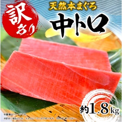 【訳あり】天然 本まぐろ 中トロ 計約1.8kg (8柵入)【横須賀商工会議所:本まぐろ直売所】