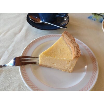 チーズケーキ 5号(15cm) 4～6人分【日本水産観光株式会社】