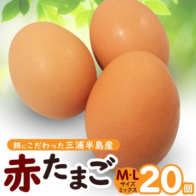 餌にこだわった三浦半島産赤たまご　20個(サイズ:L・Mミックス)