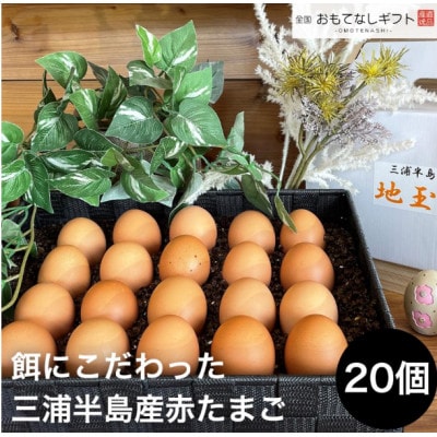 餌にこだわった三浦半島産赤たまご　20個(サイズ:L・Mミックス)