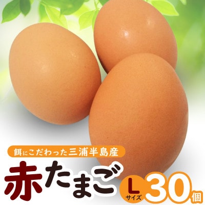 餌にこだわった三浦半島産赤たまご　30個(サイズ:L)