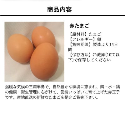 餌にこだわった三浦半島産赤たまご　30個(サイズ:L)