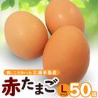 餌にこだわった三浦半島産赤たまご　50個(サイズ:L)