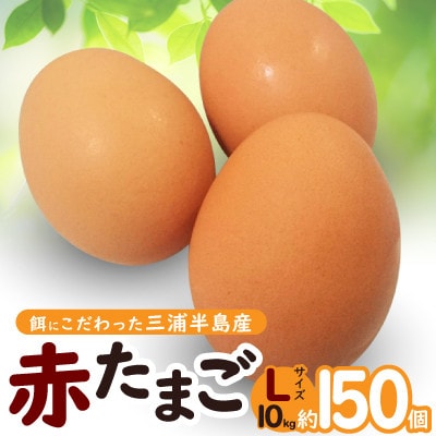 餌にこだわった三浦半島産赤たまご　Lサイズ10kg(約150個)