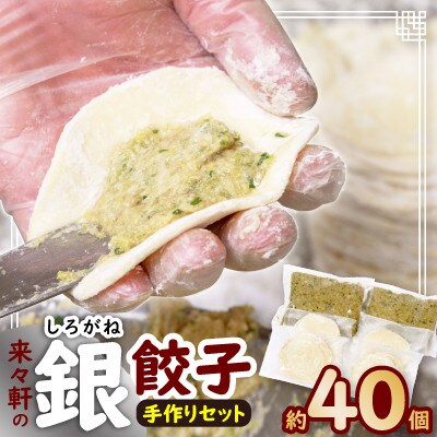 来々軒の銀(しろがね)餃子　手作りセット(約40個分)