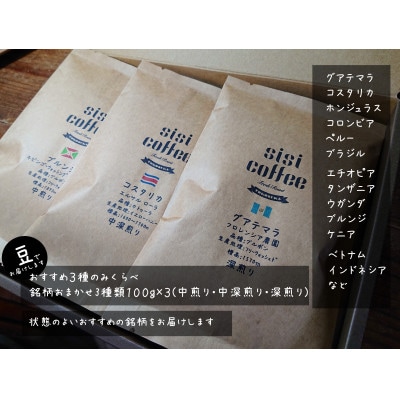 珈琲豆 銘柄おまかせ 3種 飲み比べセット 100g×3袋(豆のまま)