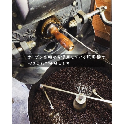 珈琲豆 銘柄おまかせ 3種 飲み比べセット 100g×3袋(粉)